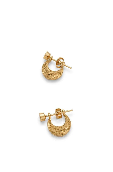 2Pcs (1 Pair / Jodi) Gold Plated Earrings for Women & Men | Unisex Elegant Lightweight Party Wear Jewelry
